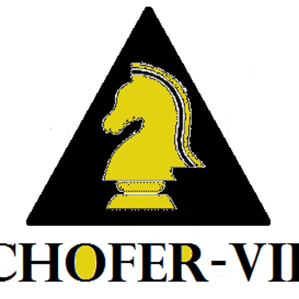 CHOFER-VIP